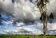 太荒吞天诀,太荒吞天诀免费阅读全文